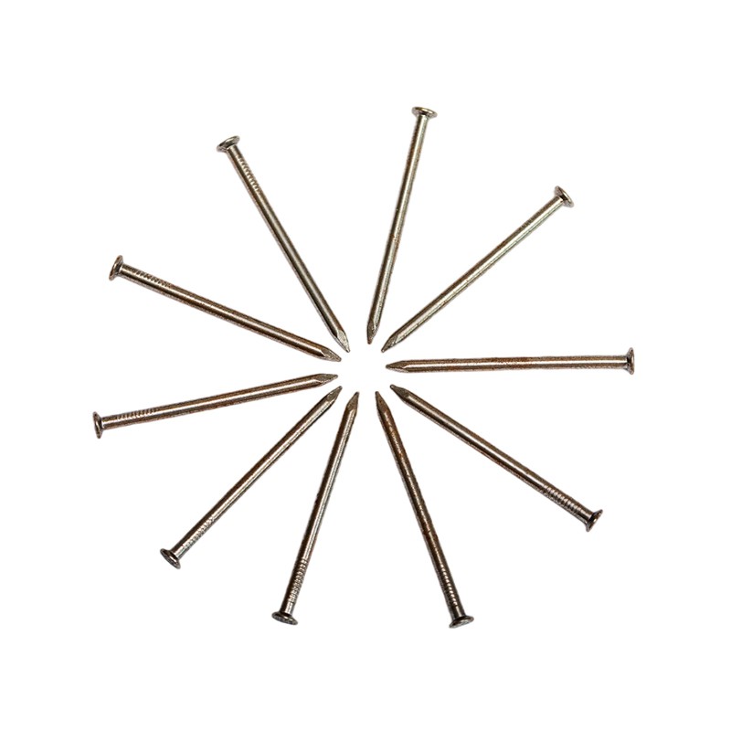 Galvaniserade naglar